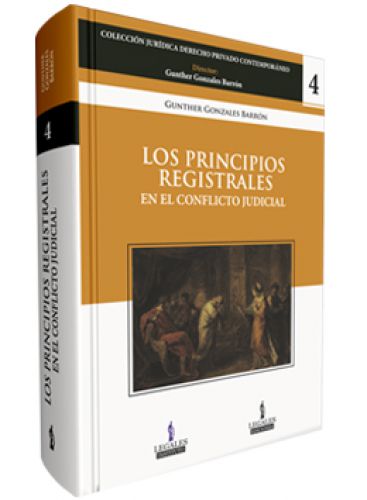 LOS PRINCIPIOS REGISTRALES EN EL CONFLIC..